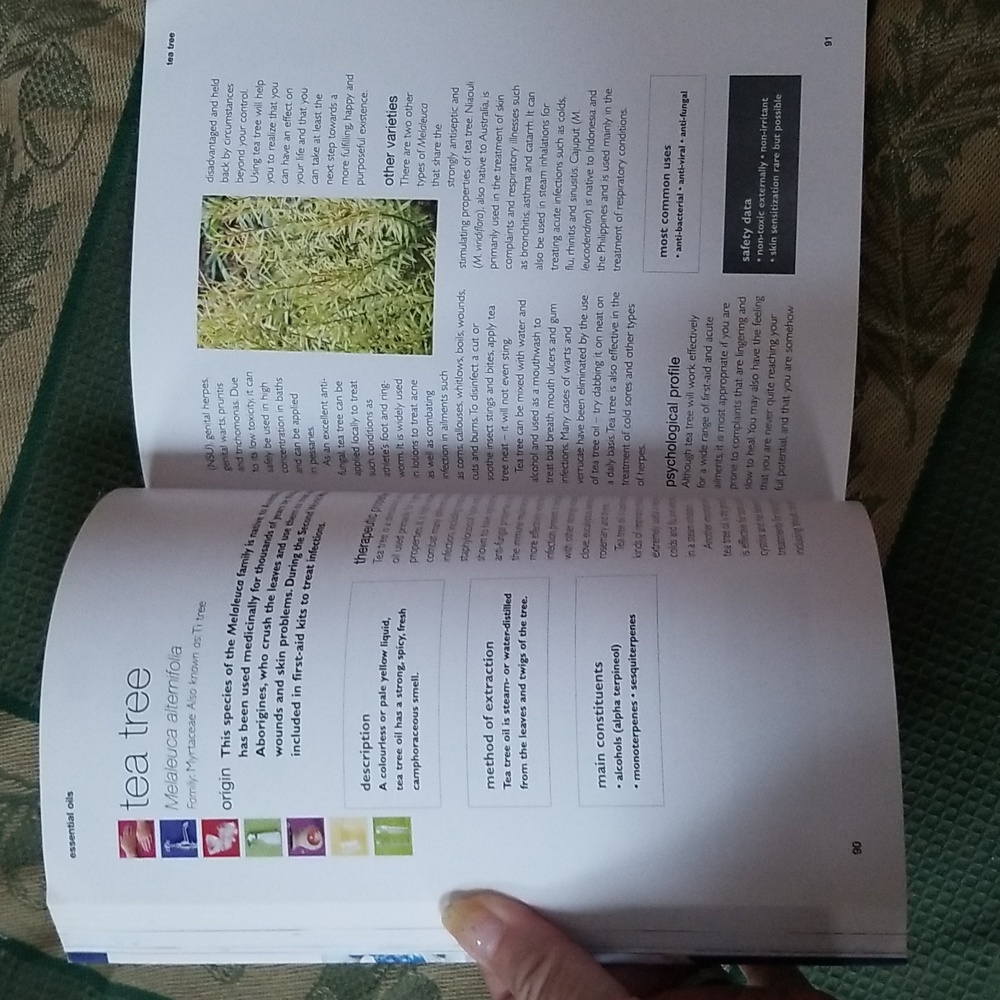 📗ESSENTIAL OILS BOOK - Picture 6 of 9